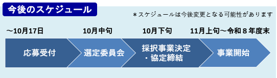 今後のスケジュール